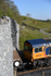Arcow shunting moves attract sheep gallery - May '17
