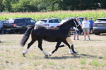 WJ6_4882