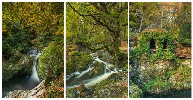Tollymore Autumn Photography Tour