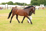 SBM_04189