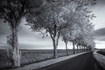 The Night Road from Mappleton
