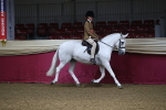 Class 101 Equitation (best rider), Junior portfolio