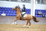 SBM_002497