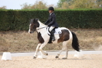 Unaffiliated Dressage portfolio