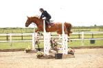 SBM_007994