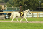 SBM_69905