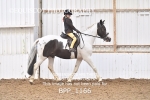 BPP_1166