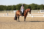 SBM_006977