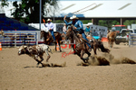 3HRodeo8-11-25_PRCASteer_07629_