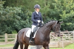 272-Karen_Martin-Faeydae portfolio