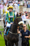 170623-Race 1-Shake a Leg-0085