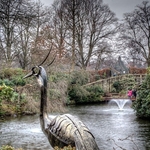 The Dingle shrewsbury