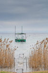 Parting of the Reed Sea