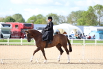 SBM_10775