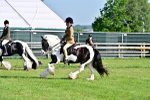 SBM_11629
