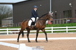 Unaffiliated Dressage = Click to View portfolio
