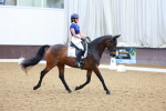 SBM_000649
