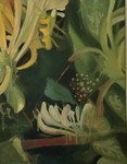 Undergrowth Series portfolio