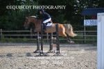 CLASS 6 Senior Newcomers/ 1.10m Open portfolio