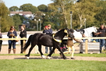 SBM_40885