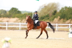 SBM_011795