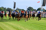 240726-Race 4-Rajaking-5313