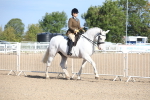 SBM_17474