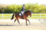 SBM_000284