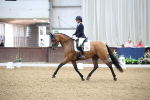 SBM_003293