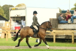 SBM_68201
