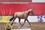 JAC_4680