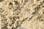 251004A-095050-00272