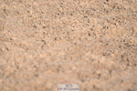 241026A-144059-01398