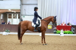 SBM_007205