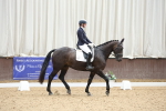 SBM_008019