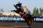 3HRodeo7-12-24_LJD_3HR3953_LJD