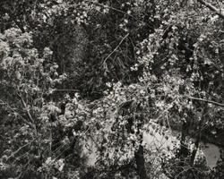 Landscapes portfolio