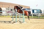 SBM_003357