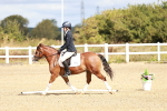 SBM_009916