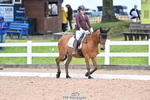 Cls 3C Jnr Prelim 18 portfolio