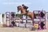 BPP_3829