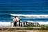 Let`s Surf