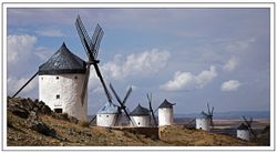 Landscape portfolio