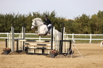 SBM_03527