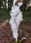 Hair Ice