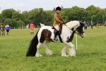 SIAL3244
