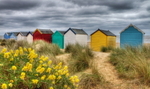 Beach Huts