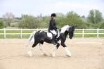 SBM_007260