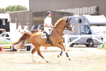 SBM_001579