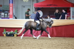 SBM_18634